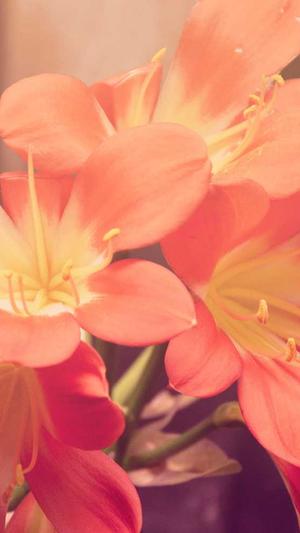 黑料不打烊网址换了吗截图2